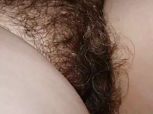 کهربا بر حرامزاده تس ...